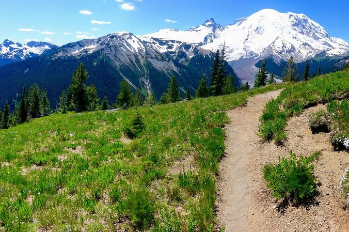 Mt. Rainier walking tour from Seattle. Come & play outside!